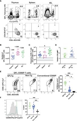 The promiscuous development of an unconventional Qa1b-restricted T cell population